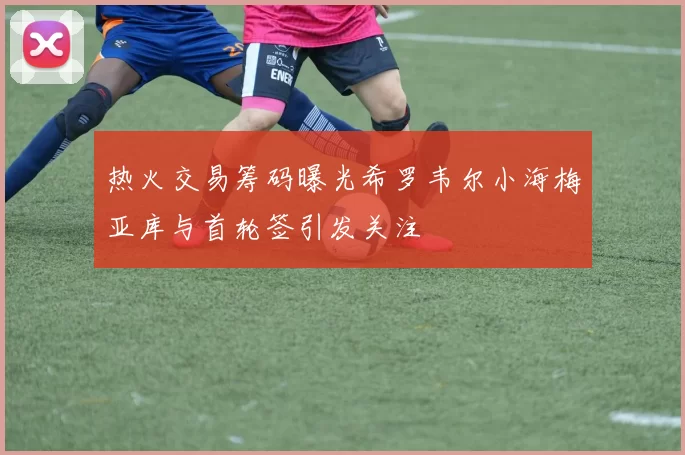 热火交易筹码曝光希罗韦尔小海梅亚库与首轮签引发关注